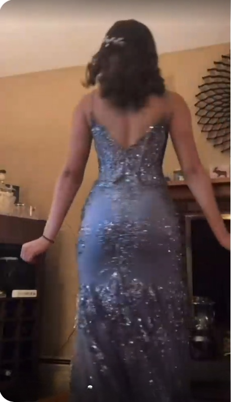 Sexy Spaghetti Straps Prom Dress Mermaid Evening Dress fg7414